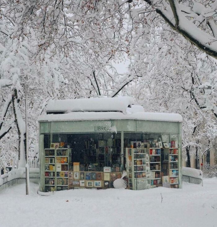 Kiosco de biblioteca acogedor cubierto de nieve rodeado de árboles escarchados, mostrando libros en un mágico escenario invernal.