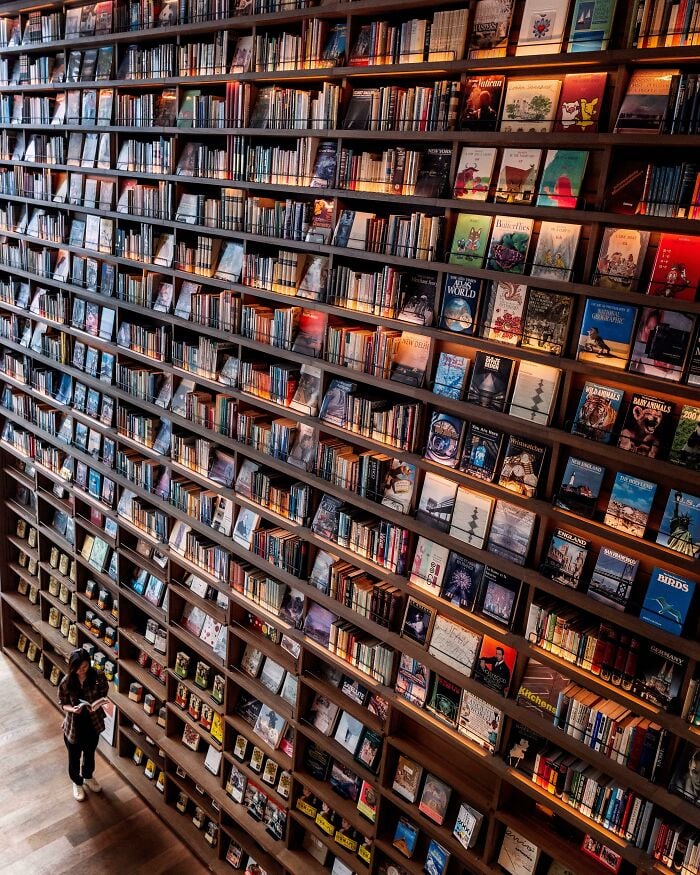 Grande bibliothèque grandiose avec de vastes étagères remplies de livres et une personne lisant dans l'espace confortable.