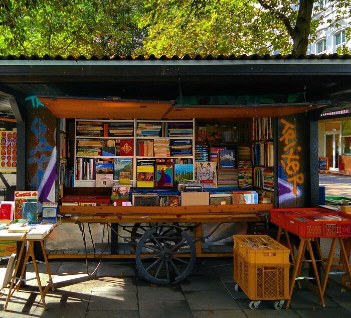 Outdoor cosy bookstore with shelves full of books, surrounded by greenery, showcasing magical libraries and bookstores. Outdoor cosy bookstore with shelves full of books, surrounded by greenery, showcasing magical libraries and bookstores.