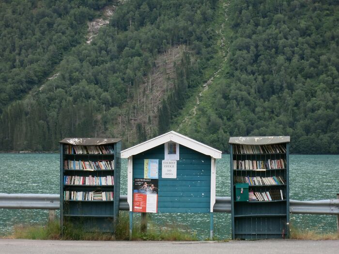 Outdoor lakeside library shelves with books beside a small blue tourist office, surrounded by lush green forest.